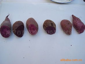 紫甘薯高效栽培技術(shù)轉(zhuǎn)讓 市場價(jià)值與專業(yè)平臺(tái)推薦